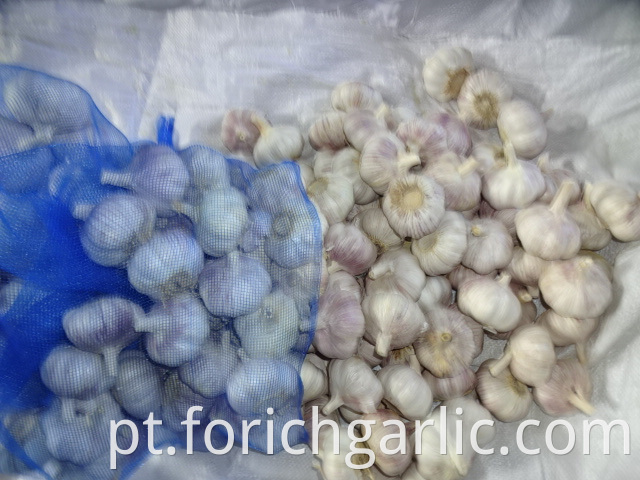 Normal White Garlic Fresh